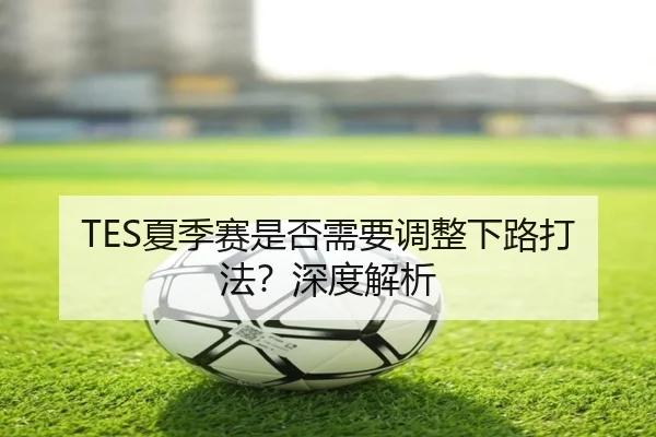 TES夏季赛是否需要调整下路打法？深度解析